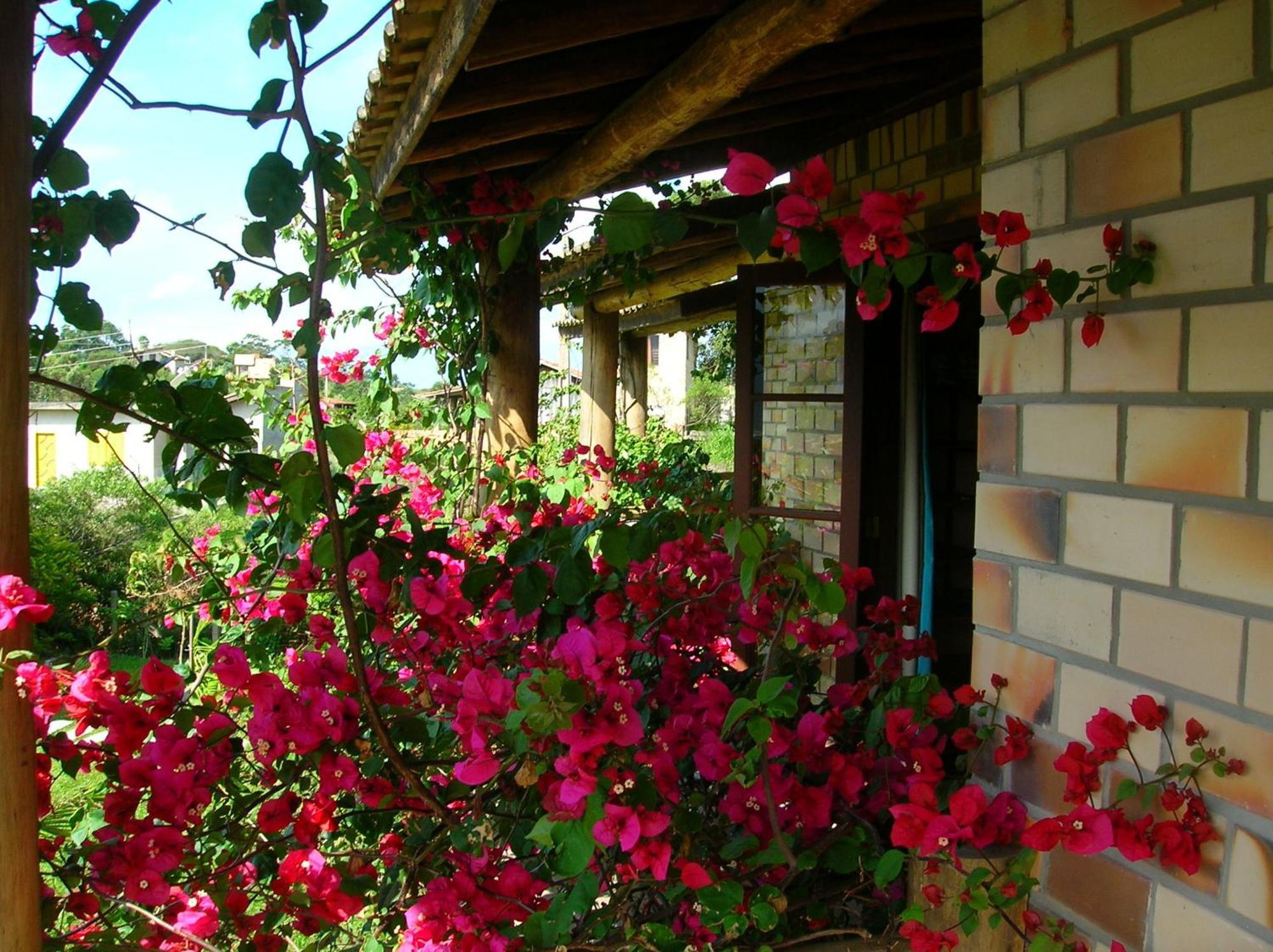 Hotel Estalagem Capitao Gancho Praia do Rosa Exterior foto